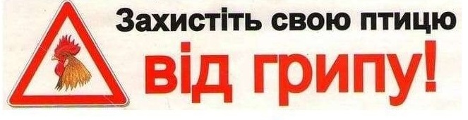 Обережно! Високопатогенний грип птиці